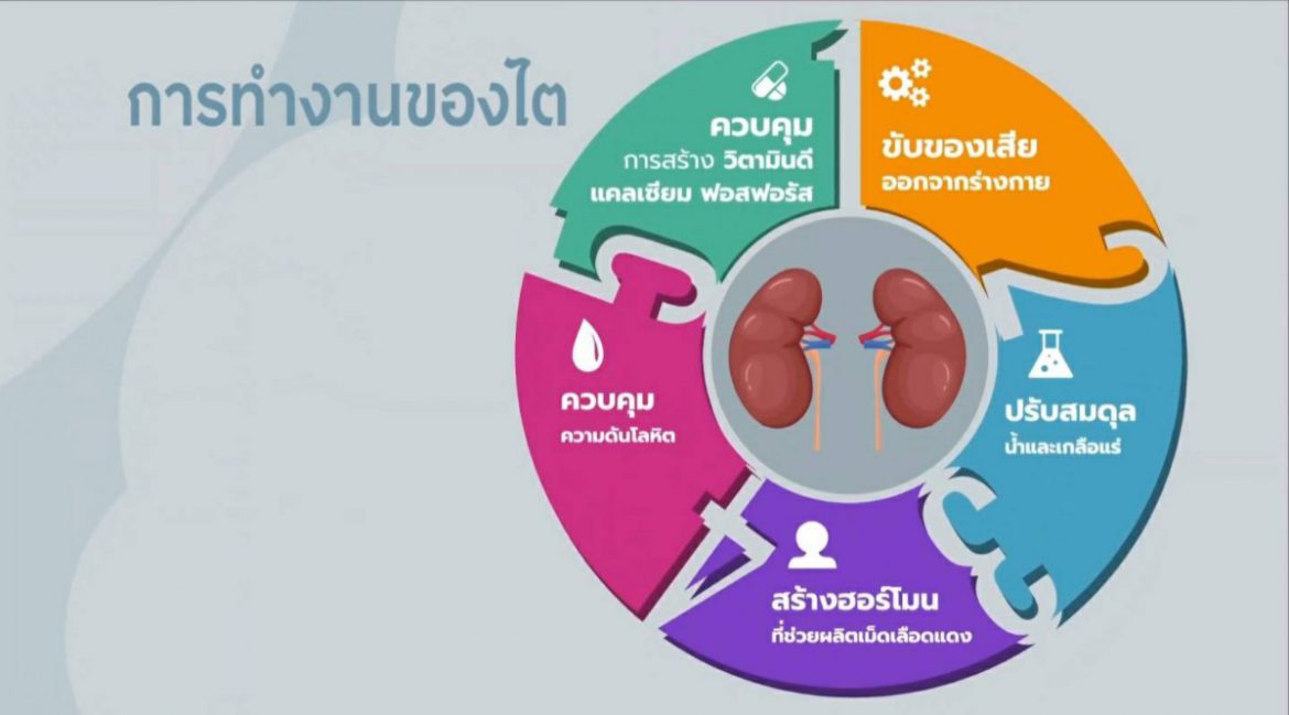 สมาคมเพื่อนโรคไตแห่งประเทศไทย ชวนชมเรื่องจริงจากผู้ป่วย “โรคไตเรื้อรัง .. รู้ไว้ รักษาเร็ว”